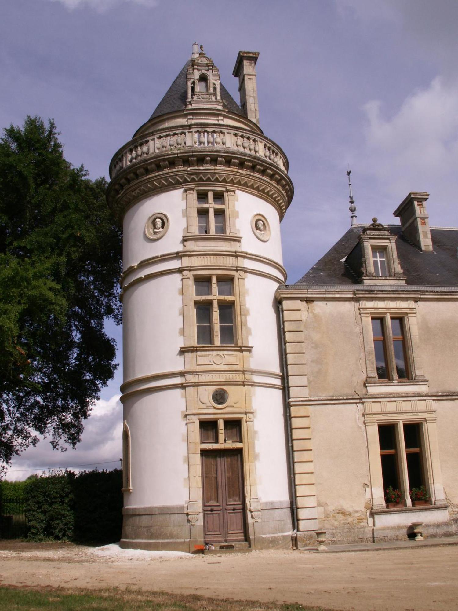 Chateau De La Court D'Aron Saint-Cyr-en-Talmondais Esterno foto